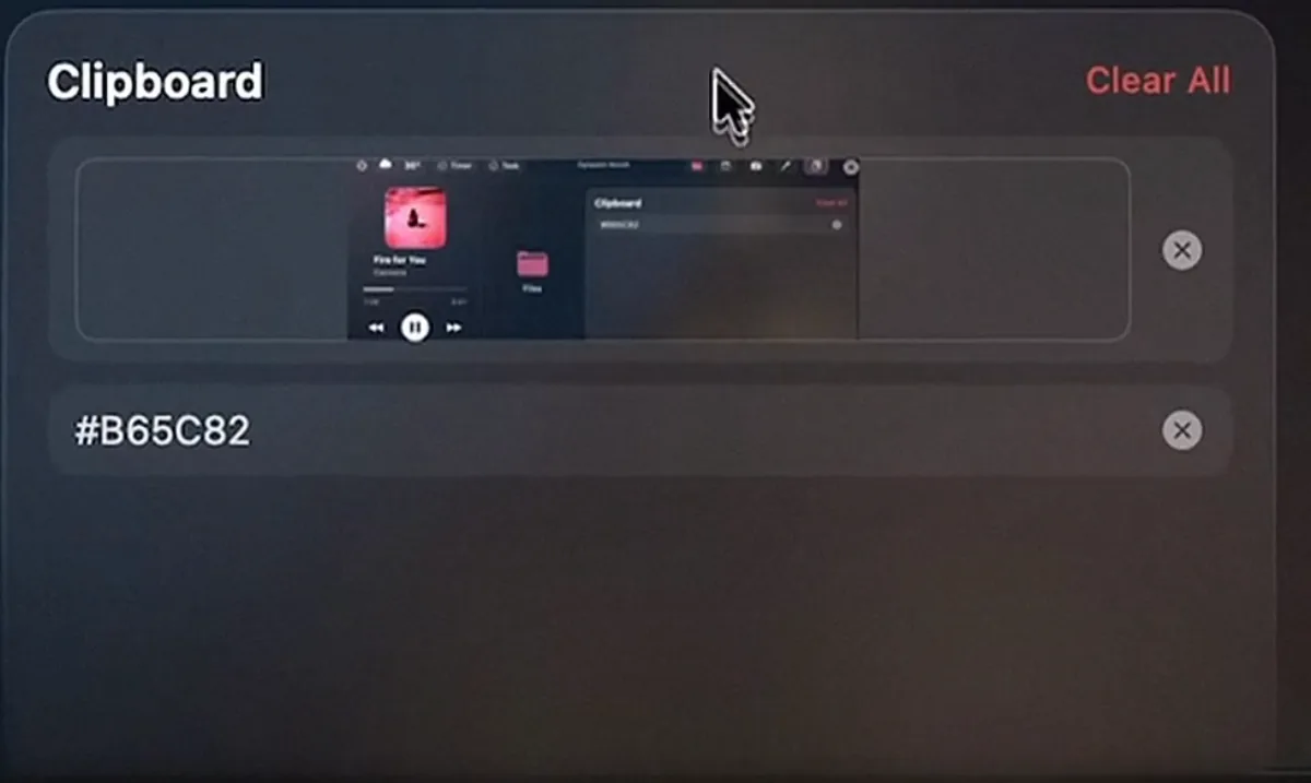 The Dynamic Notch clipboard panel listing a copied screenshot and the hex value #B65C82